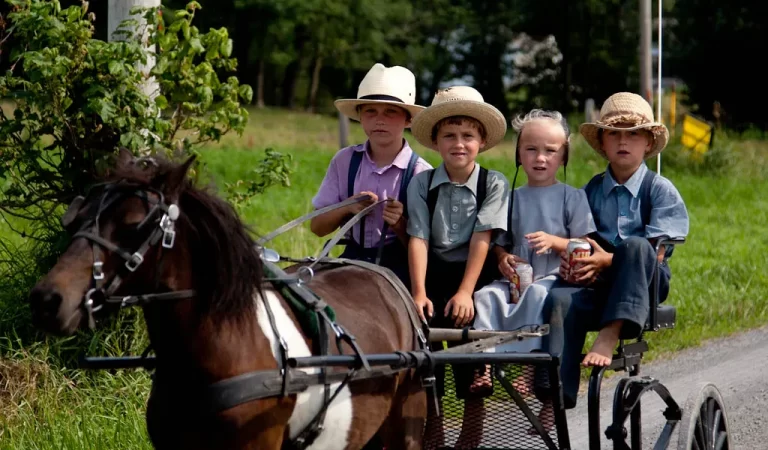 10 Incredible Facts About the Amish Community