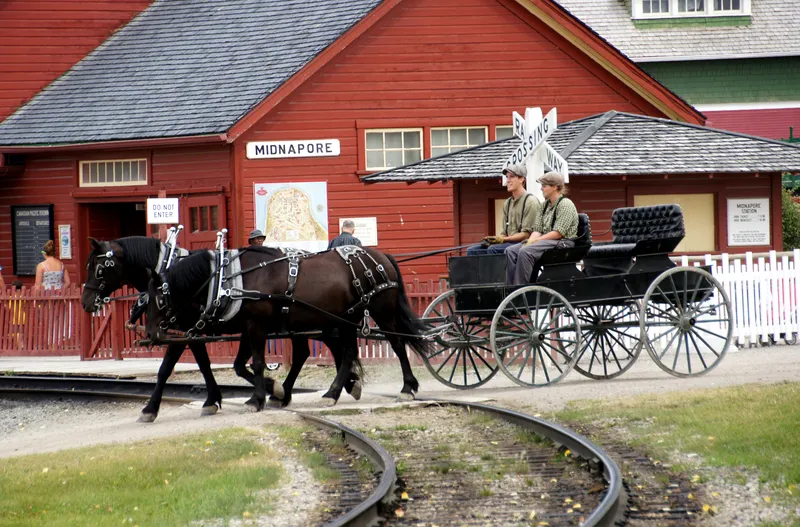 Amish transport