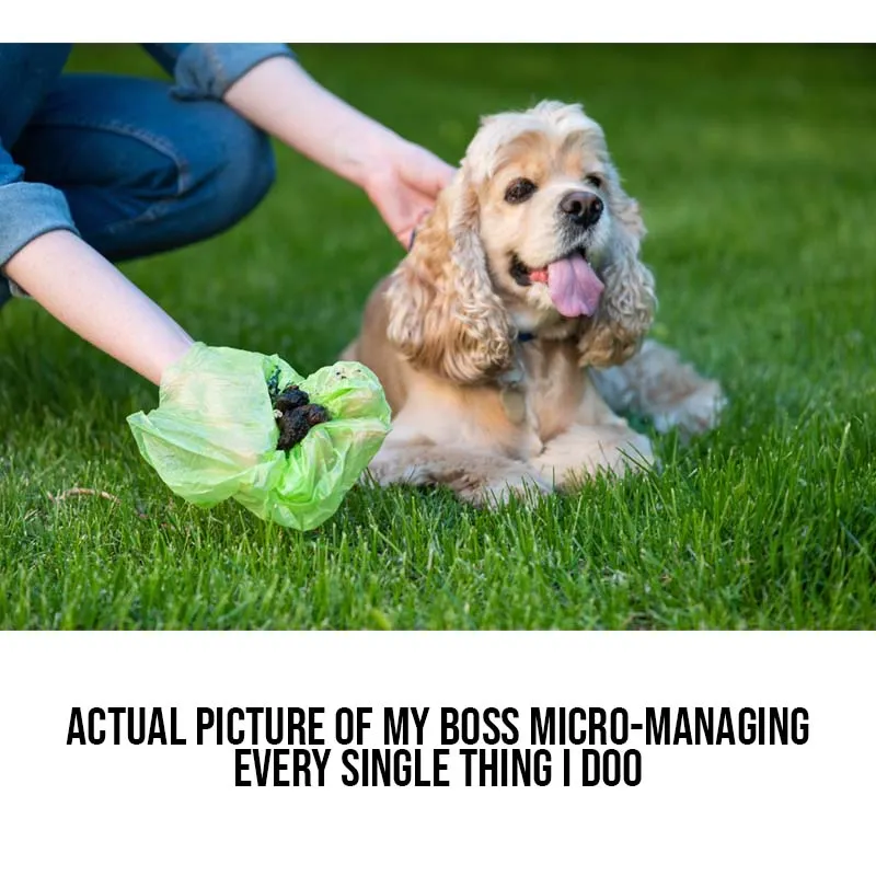 Boss micro managing meme